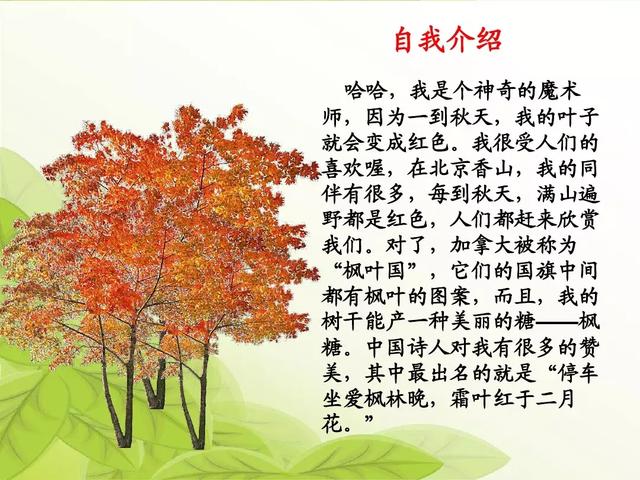 汉字松的组词，松的组词（部编版二年级语文上册识字2《树》知识点+图文解读）