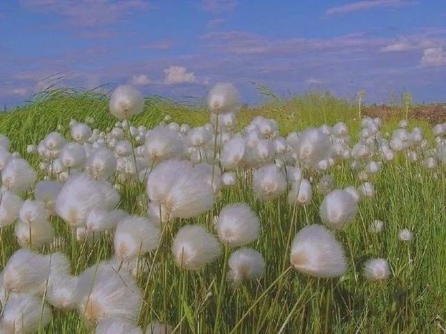 甜甜的情话文案，很甜很撩的情话句子（甜甜的情话文案合集）