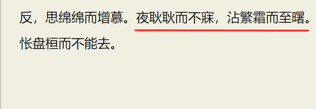 惊鸿一面是什么意思，惊鸿一面表达什么意思（一位失败者的自述）