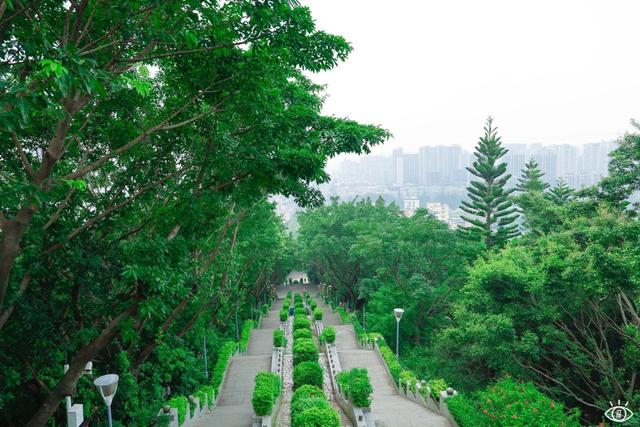 深圳十大免费景点，深圳十大必玩免费景点排名