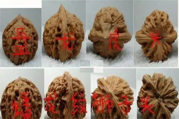 虎头麦穗核桃好吗，麦穗虎头核桃盘好后的图片（什么是麦穗虎头核桃？原来是它）