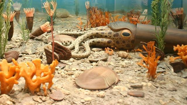 第六次生物大灭绝，地球正进入第六次生物大灭绝（5次生物大灭绝地球经历了什么）