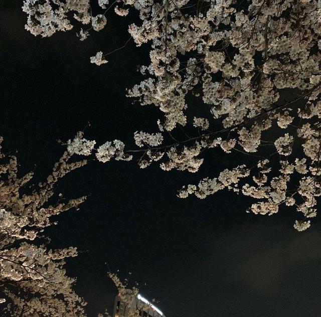 QQ个性名片背景图，qq名片背景图片怎么换（名片背景图‖中意你）