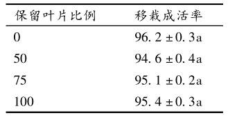 如何种植糖槭树，糖槭树怎么移栽（福建省龙岩市红翅槭引种与栽培技术）