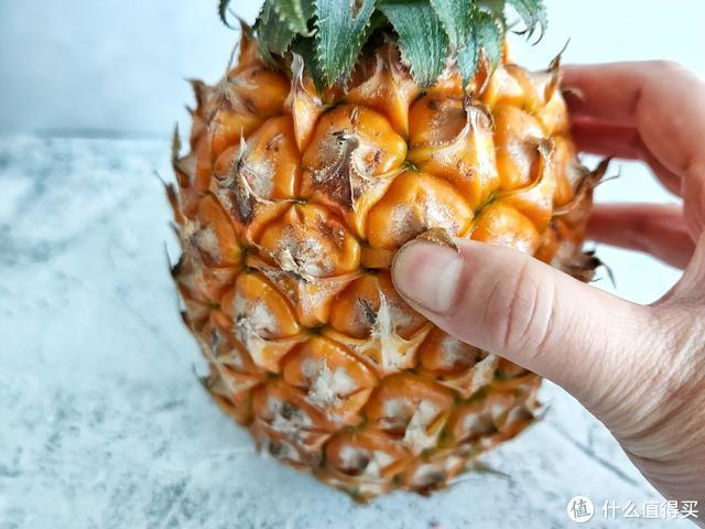 菠萝长什么样，菠萝长什么样子图片（切记这3种不要买）