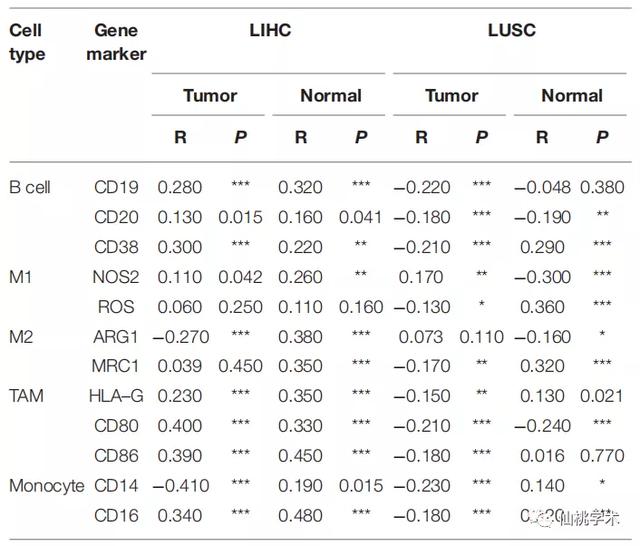 excel左右拉条不见了，excel的左右滚动条不见了（单基因泛癌免疫分析）
