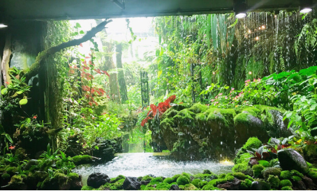 新加坡旅游多少钱(如何移民新加坡)