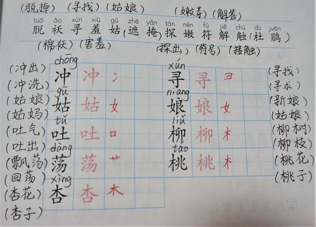 圾组词两个字大全，圾组词两个字（二年级语文下册课文会写与会认的生字组词）