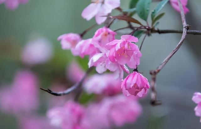 婚外情有真爱吗?会长久吗，婚外情能长期维持吗（婚外有真爱？别扯）