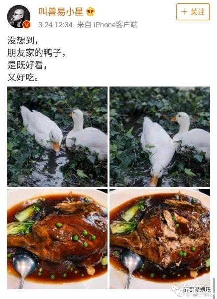 王思聪的鸭子是什么鸭，柯尔鸭幼崽多少钱一只（王思聪把买来的宠物鸭子煮了）