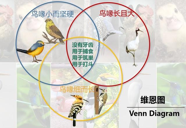 孩子思维训练三种方法，孩子思维训练的三种方法（用3种图示法培养逻辑思维力）
