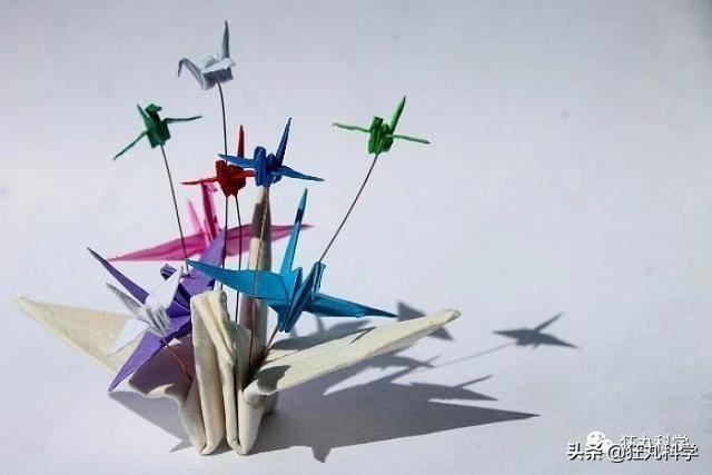 如何做一个千纸鹤，怎样才能做千纸鹤（一千天叠出1000种纸鹤）