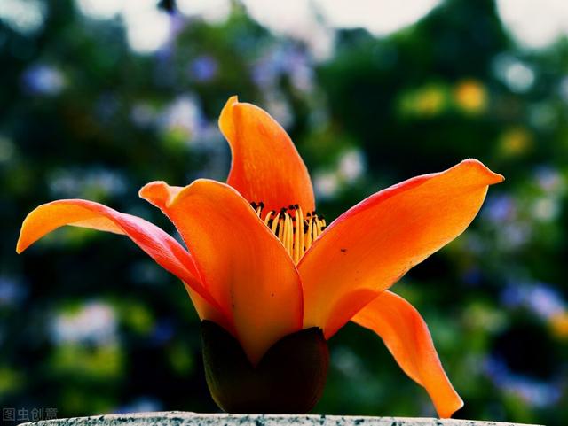 马云是几年出生的，马云多少年出生（从创业英雄变成人人喊打的丑陋资本家）