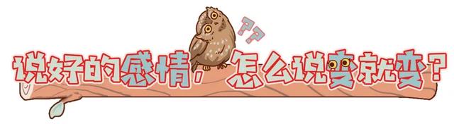 养雪鸮犯法吗，宠物雪貂多少钱一只（猫头鹰的构造原来这么奇葩）