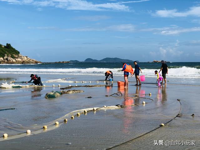 惠州海岛旅游景点哪里好玩，惠州野沙滩大汇总：8个野沙滩