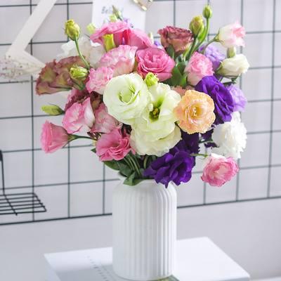 铃兰花的花语，从此买花送人不出错（铃兰花的花语与寓意）