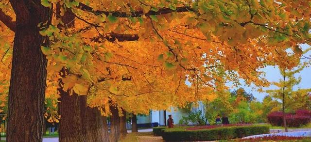 辽东学院宿舍条件怎么样，辽东学院宿舍几人间（辽宁省普通高等院校）
