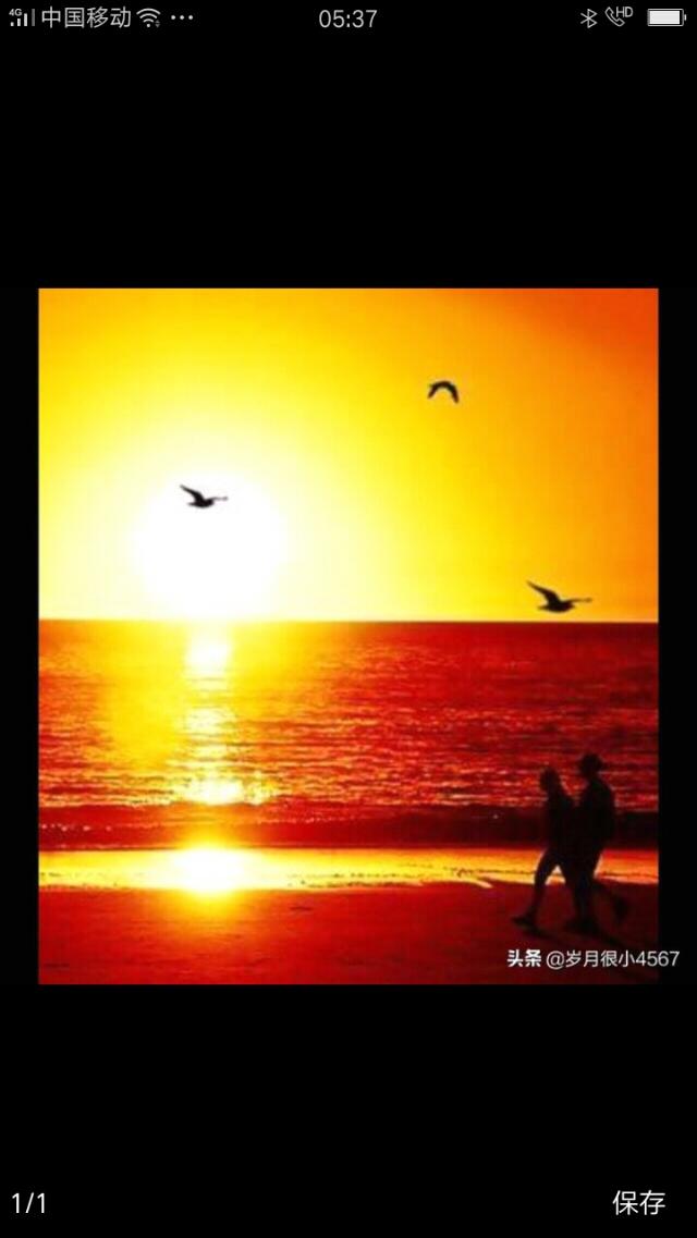 夕阳无限好只是近黄昏的意思，夕阳无限好只是近黄昏是什么意思（就改一个字使意境截然相反）