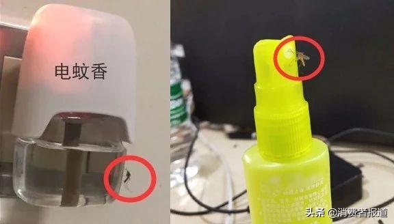 超威蚊香的使用方法，超威蚊香的使用方法视频（36款驱蚊产品选购攻略）