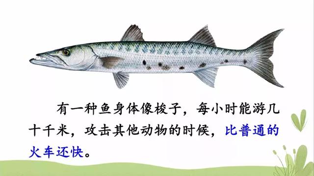  推怎么组词，推的组词（部编版三年级语文下册课文23《海底世界》知识点+图文解读） 