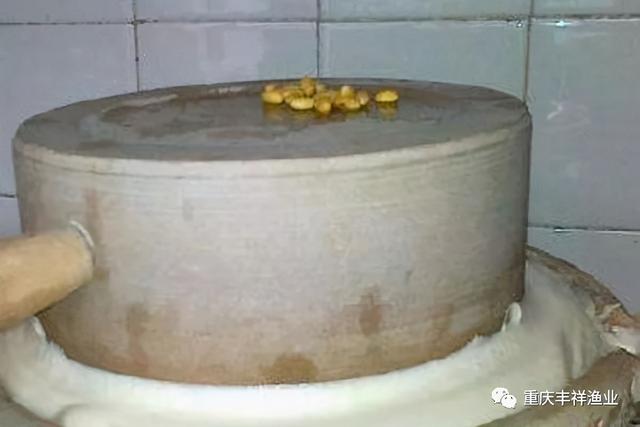 小鱼苗怎么做好吃，干小鱼怎么做好吃又简单（鱼苗绿色食物---熟蛋黄水、生豆浆饲喂养鱼法）