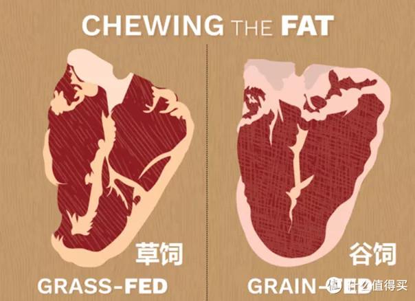 美国牛排 等级，买牛肉不要再上当了好吗