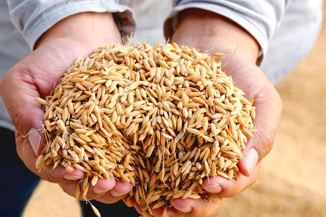 干饭是什么意思，网络词干饭是什么意思（中国干饭地图：天南海北）