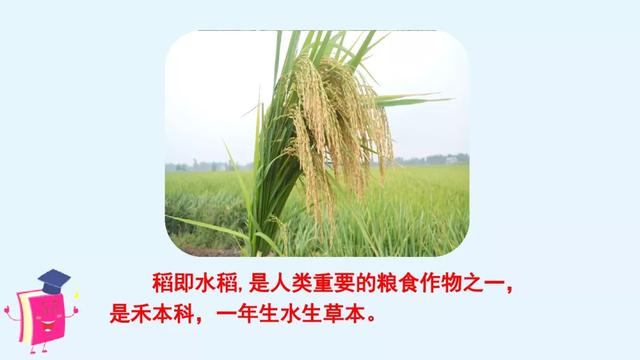 风雨兼程是什么意思，披星戴月风雨兼程是什么意思（部编版六年级上册《语文园地六》图文讲解）