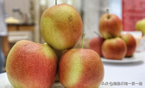 水果园里有哪些水果，水果园里有什么水果（云南大理水果园有些什么水果呢）