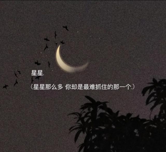 有特殊意义的网名，拥有特殊意义的网名（喜欢的人是海面上的灯塔）