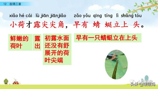 四时田园杂兴的诗意，《四时田园杂兴》的诗意是什么（一年级下册语文课文12《古诗二首》图文详解及同步练习）