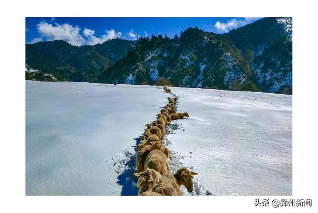 jkmtl00是什么型号，jkmal00是什么型号的（2020年凉山第二届全民手机摄影大展作品欣赏）