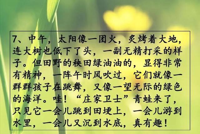 夏天的词语有哪些，描写夏天的词语有哪些（素材积累《描写夏天的好词、好句》）