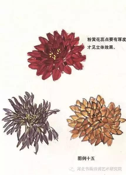 花的画法——菊花的画法，菊花是怎么画（菊花画法大全）