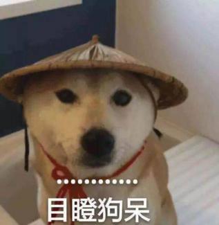豚鼠（豚鼠特工队），地表最强治愈系生物——水豚（豚鼠特工队主角）