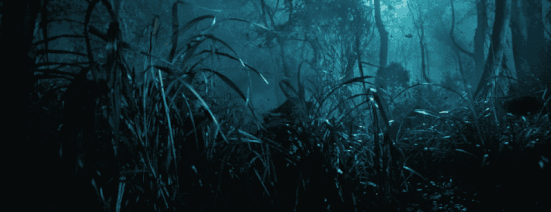 闯雨的特点，对闯雨有哪些了解（《鬼吹灯》系列最佳）