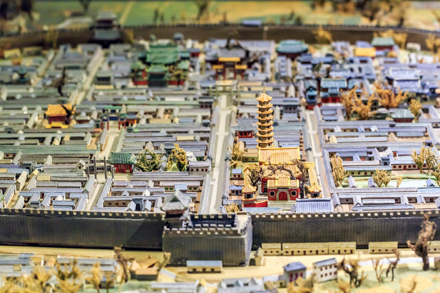 常吃萝卜皮的几个好处，萝卜皮的功效与禁忌（是金字塔尖上的美食吗）