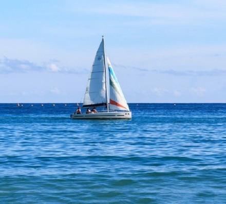 《人间最美 不过鲸落》，人间最美，不过鲸落（人间最美，不过“鲸落”）