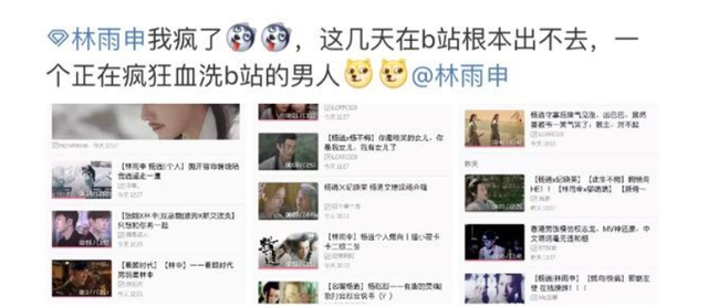 新倚天屠龙记小昭的扮演者都有谁，\