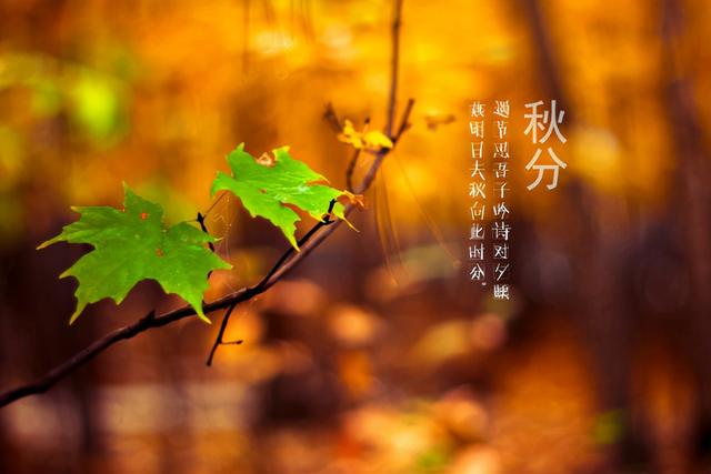 关于秋分谚语，可预测今冬雨水的多少