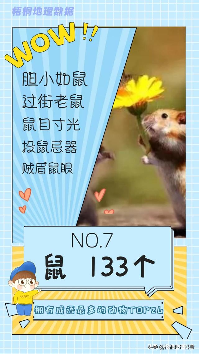 关于猫的词语有多少个，关于猫的词语有多少个词语（盘点哪种动物拥有的成语最多）