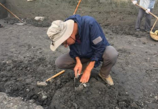 【黄柏木】黄柏木家具好吗，黄柏树木质怎么样（中国最恐怖古墓）