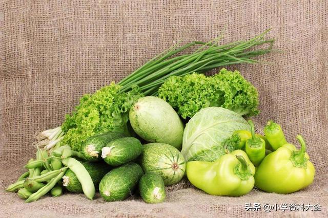 关于蔬菜类的词语，蔬菜的词语有（关于《水果蔬菜+农作物》的好词、好段、百科小知识）