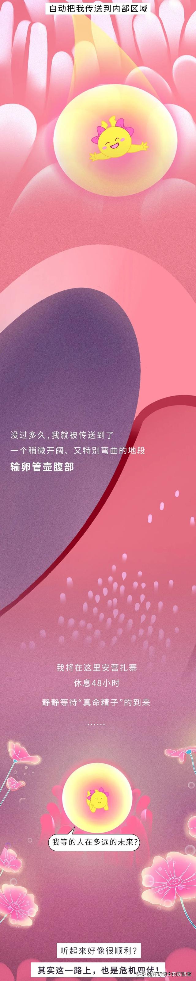 悄无声息的意思，悄无声息的意思是什么（你对女生的卵子根本一无所知）