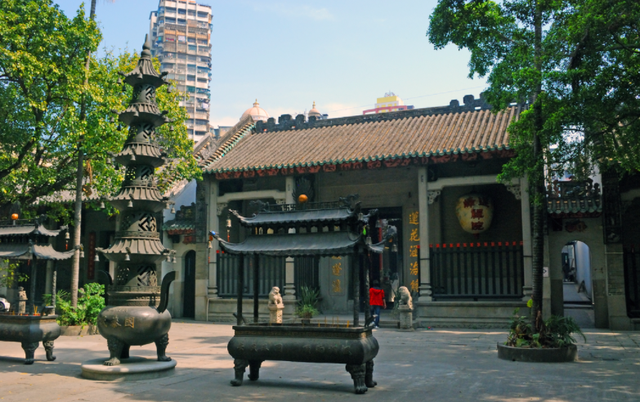 澳门的市花是什么，澳门的市花是什么名字（二十一届澳门荷花节体验这个莲花宝地）