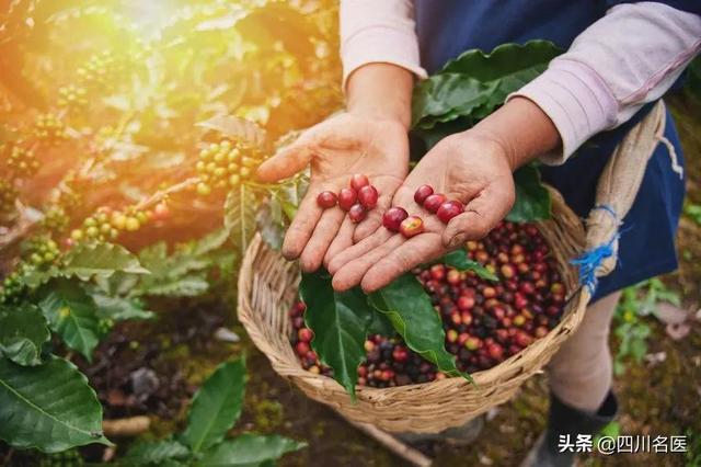 美式咖啡的功效与作用，美式咖啡的好处（能降低患肝癌风险）