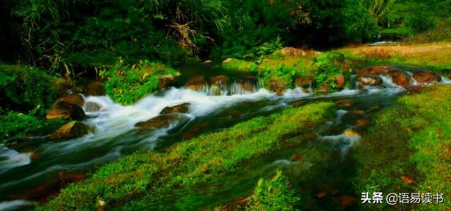 小池描写的是什么地方的景色，《小池》这首诗描写的是什么地方的景色（古诗文学习031：一年级下册）