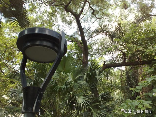 诺基亚n95手机好吗，回顾诺基亚N95