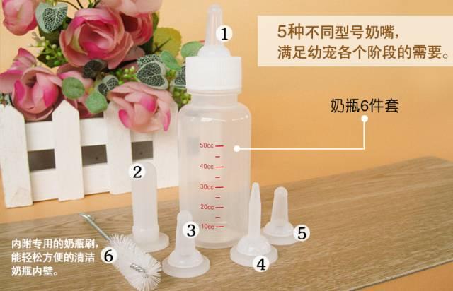 怎样照顾幼猫，如何照顾幼猫（如何科学地照顾新生奶猫）