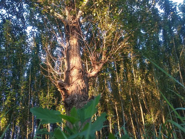 退一步海阔天空的前一句是什么，退一步海阔天空（退出江湖的经典句子）